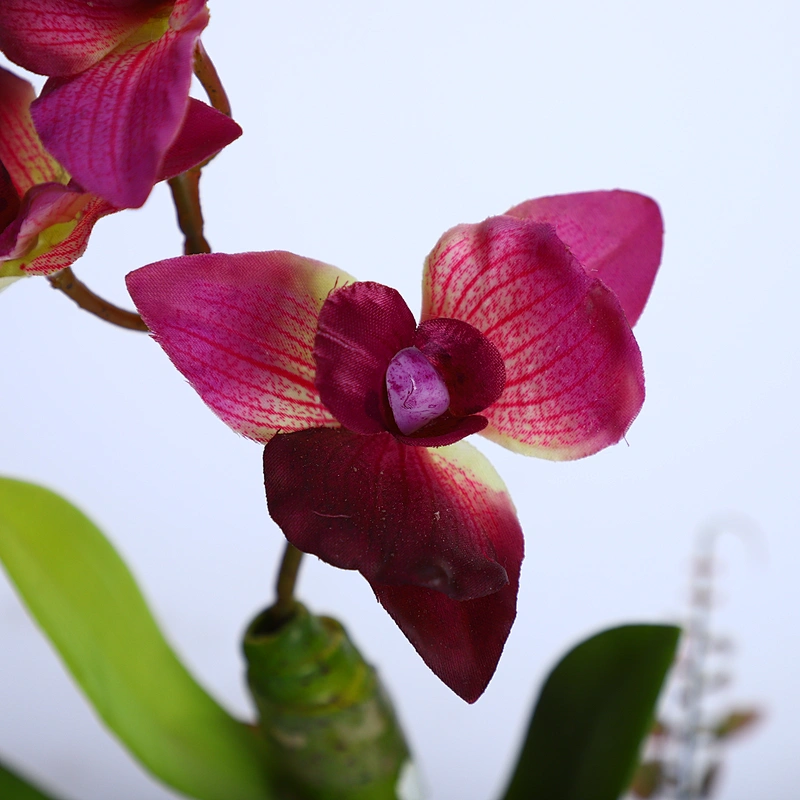 Home Wedding Decor Artificial Flowers Faux Water Cymbidium Orchid Butterfly Orchid