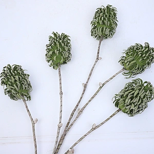 wholesale gifts and decorations flower foam plant foam flower for protecting large plants