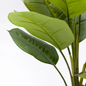 Most Popular Greenery Plant Artificial Scindapsus Aureus Dried Garden Scindapsus Aureus For Living Room Decoration