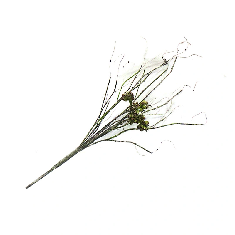 Factory Direct Design Gifts And Decorations Seasonal Flora Artificial Foam Flowers For Artificial Flowers