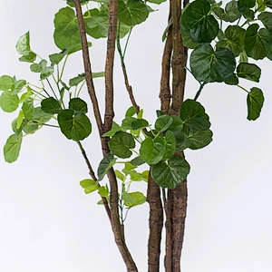 Home Decoration Used Comfortable Artificial Bonsai Plants And Trees Foliage For Sale, New Design Artificial Leaves