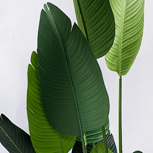 Free Samples Green Bonsai Plastic Tree Plant Decor Artificial Banana Tree For Indoor Decoration