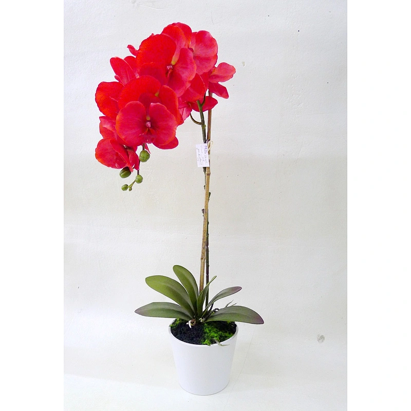 Hot sale home decoration real touch orchid flower artificial orchid plants