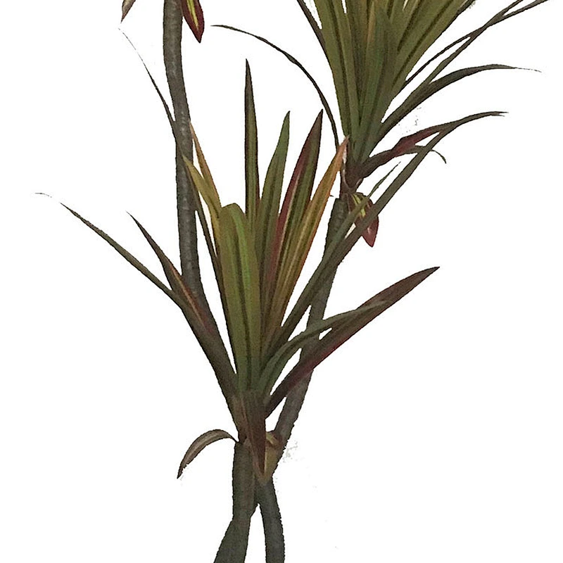 decoration artificial dracaena indoor display artificial plants artificial tree plants dracaena tree