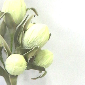 Wedding Bouquet handy carfts artificial foam flowers home decorations foam flowers