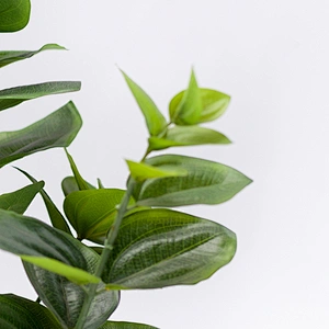 Artificial Greenery Leaves Foliage Evergreen Plants For Indoor And Outdoor Settings Decoration
