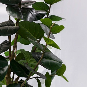 Factory Price Wholesale High Quality Artificial Decoration Bonsai Green Artificial Plants