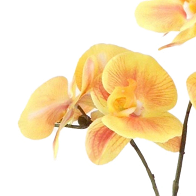 Office Wedding Decoration Artificial Orchid Flower Real Touch Latex Artificial Orchid Flower For Home