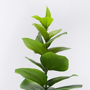 Factory Direct Sales Garden Artificial plant indoor display artificial plants plastic plants for sale