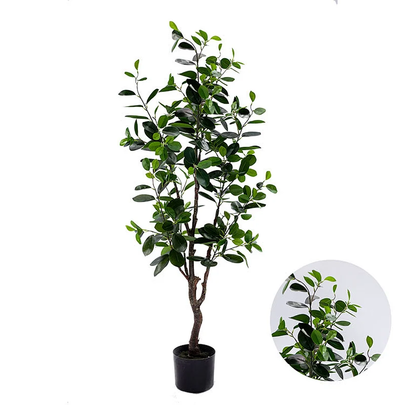 Wholesale indoor ficus trees bonsai house plant potted wedding centerpieces ficus trees