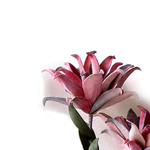 High Quality Real Touch artificial flowers foam oasis large plant foam flowers on sale