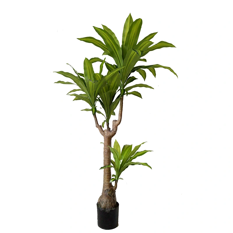 Good Quality Factory Supplier Wholesale Garden Dracaena Tree Real Touch Green Artificial Dracaena Tree