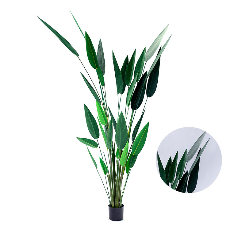 strelitzia plants bonsai real touch fabric artificial strelitzia for sale home decortion