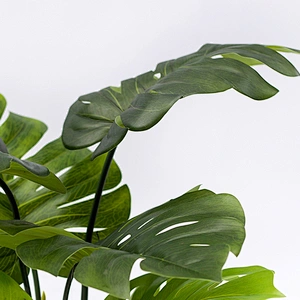 Best Quality Real Touch Varigated Monstera Leaf Plastic Charm Monstera Plate For Decoration
