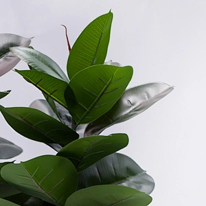 Ornamental indoor display cheap artificial rubber plant artificial rubber plants tree for weddings