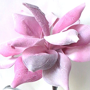 Popular Vivid Customized Oasis Plant Foam Arts And Crafts Foam Blossom Foam Flowers With Stem