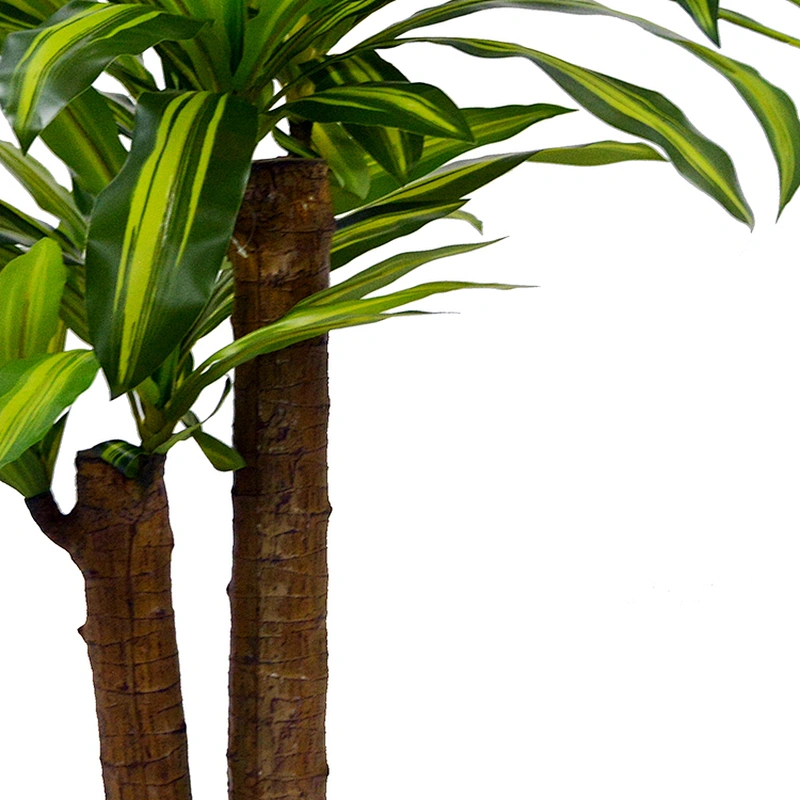 Houseplants Plastic Corn Plant Dracaena Fragrans Good Quality Happy Dracaena Tree