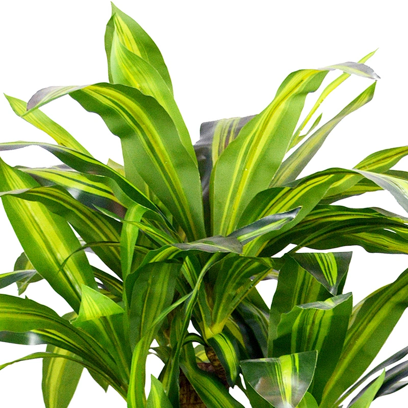 Eco-Friendly Artificial Dracena Tree Fiber Plants Dracena Trees For Home Decoration