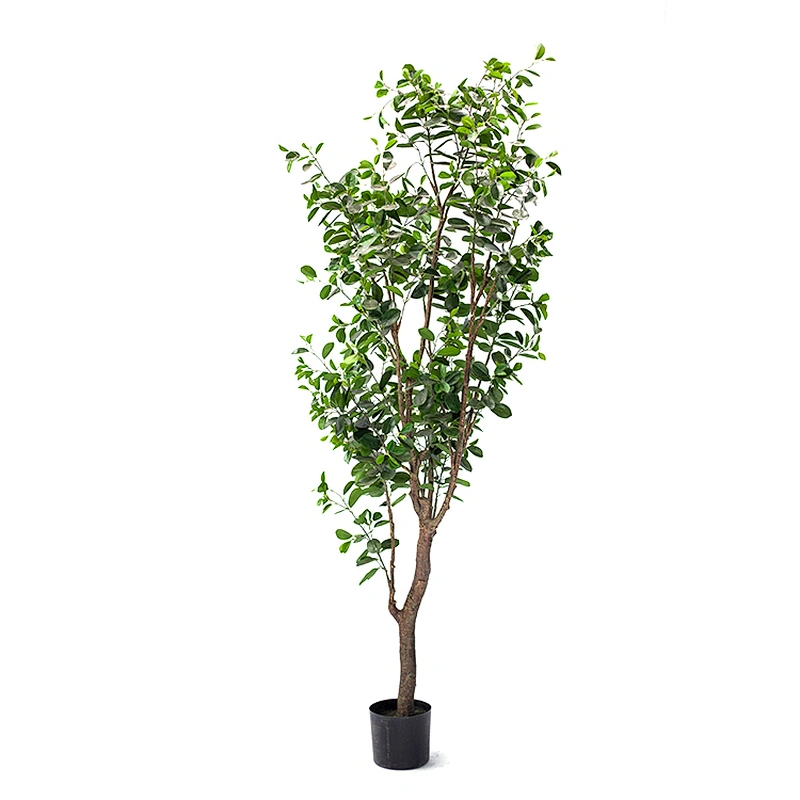High Quality  Decorative Ornamental Bonsai Plants Of  Ficus Garden Decoration Banyan Tree  Evergreen Foliage Plants