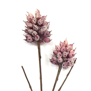 Decoration Foam Plant Foam Blossom Ornamental Foam Flowers Seasonal Flora For Wedding Flowers