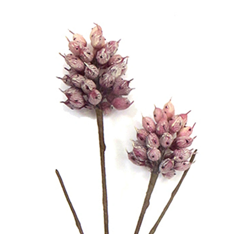 Decoration Foam Plant Foam Blossom Ornamental Foam Flowers Seasonal Flora For Wedding Flowers