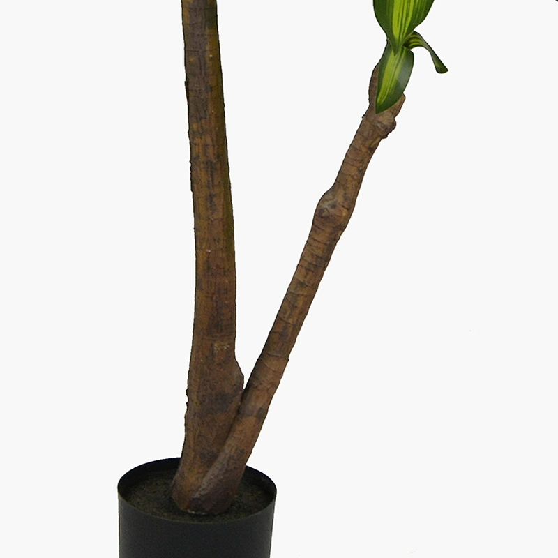 New Product Plastic Indoor Dracena Tree Big Plant Green Natural  Decor Outdoor Bonsai Dracena Tree