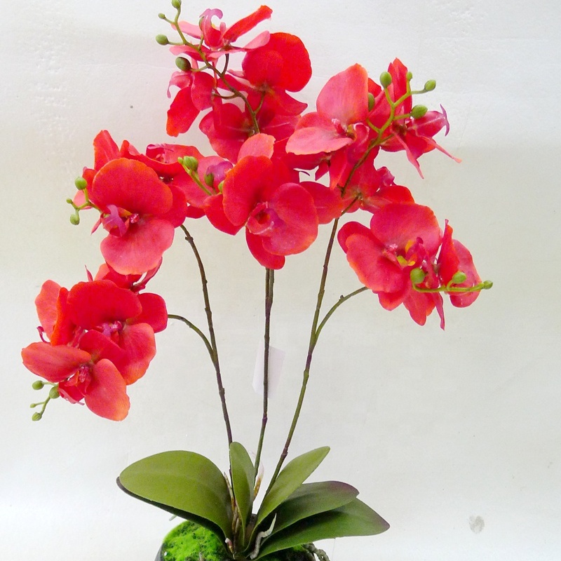 High Quality Artificial Latex Flowers artificial Orchid flower Artificial Real Touch Orchid plant