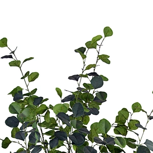 Nearly Natural mini potted plants artificial eucalyptus decoration artificial plant indoor display eucalyptus trees