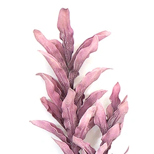 wholesale China foam flowers wedding decorative flowers foam for flower arrangements