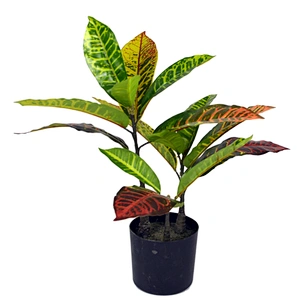 New design Codiaeum variegatum Plant High Quality Wholesale Artificial Leaves Codiaeum variegatum Plant For Sale