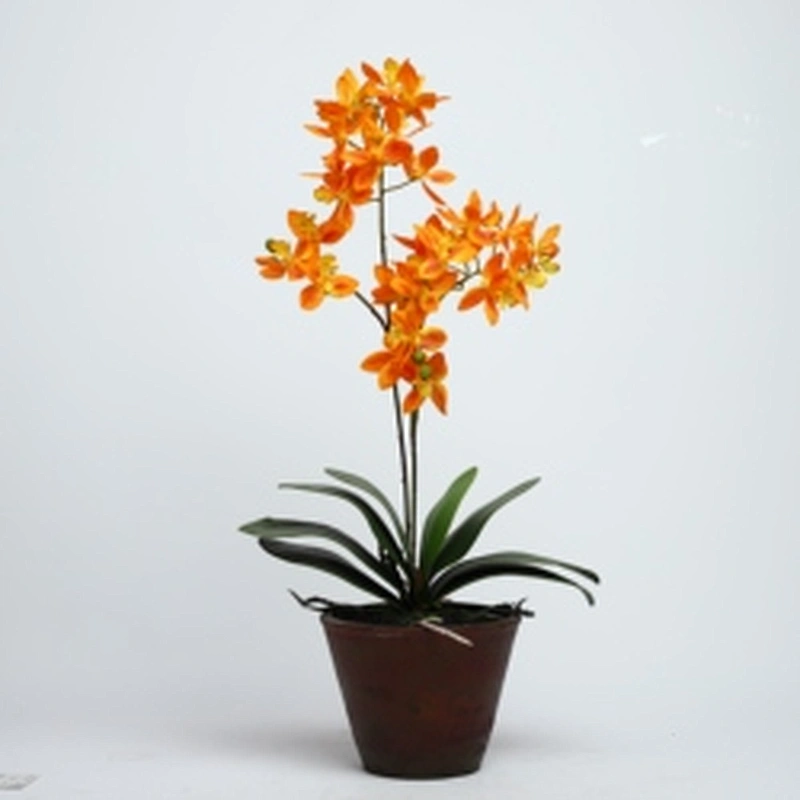High Quality Real Touch Artificial faux water cymbidium Faux Water Butterfly Orchid For Home Decoration
