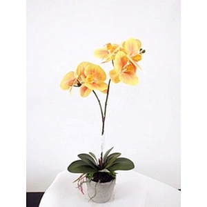 Office Wedding Decoration Artificial Orchid Flower Real Touch Latex Artificial Orchid Flower For Home