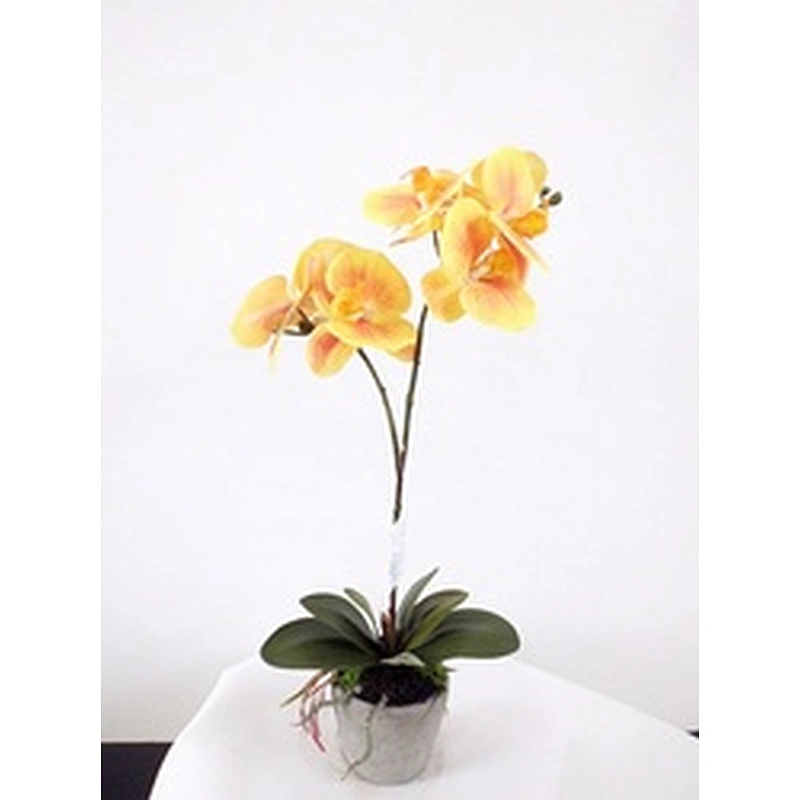 Office Wedding Decoration Artificial Orchid Flower Real Touch Latex Artificial Orchid Flower For Home