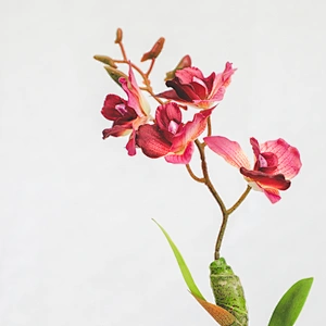 Wholesale fashion artificial Home Wedding Decor Artificial Flowers Faux Water Cymbidium Orchid Butterfly Orchid
