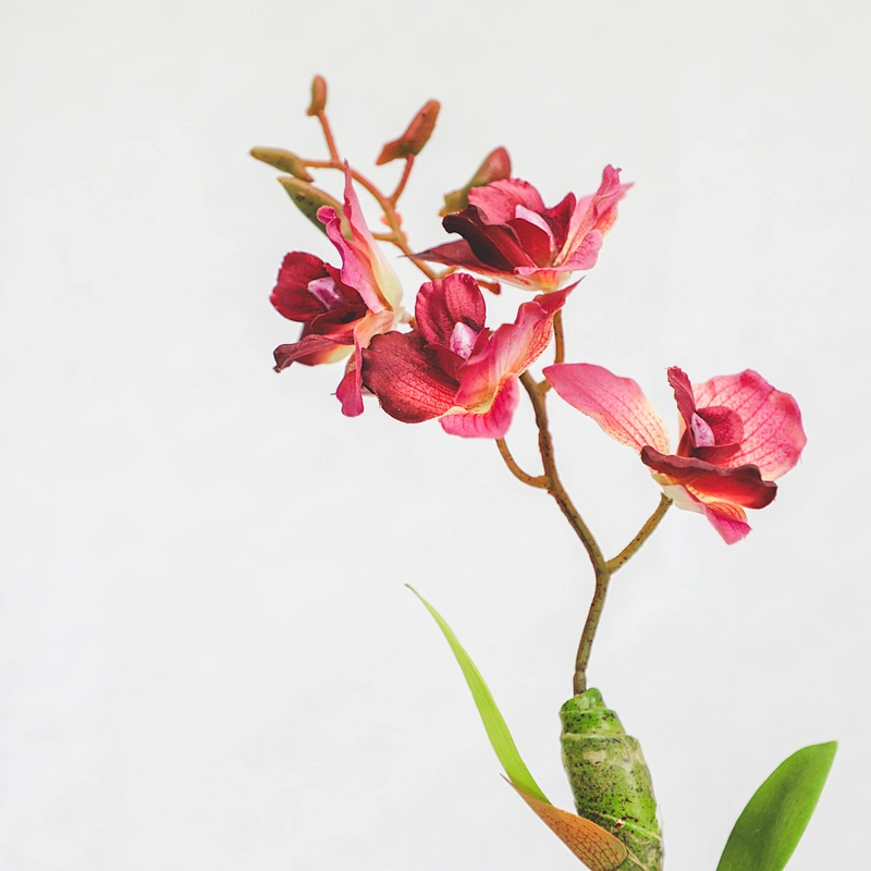 Wholesale fashion artificial Home Wedding Decor Artificial Flowers Faux Water Cymbidium Orchid Butterfly Orchid