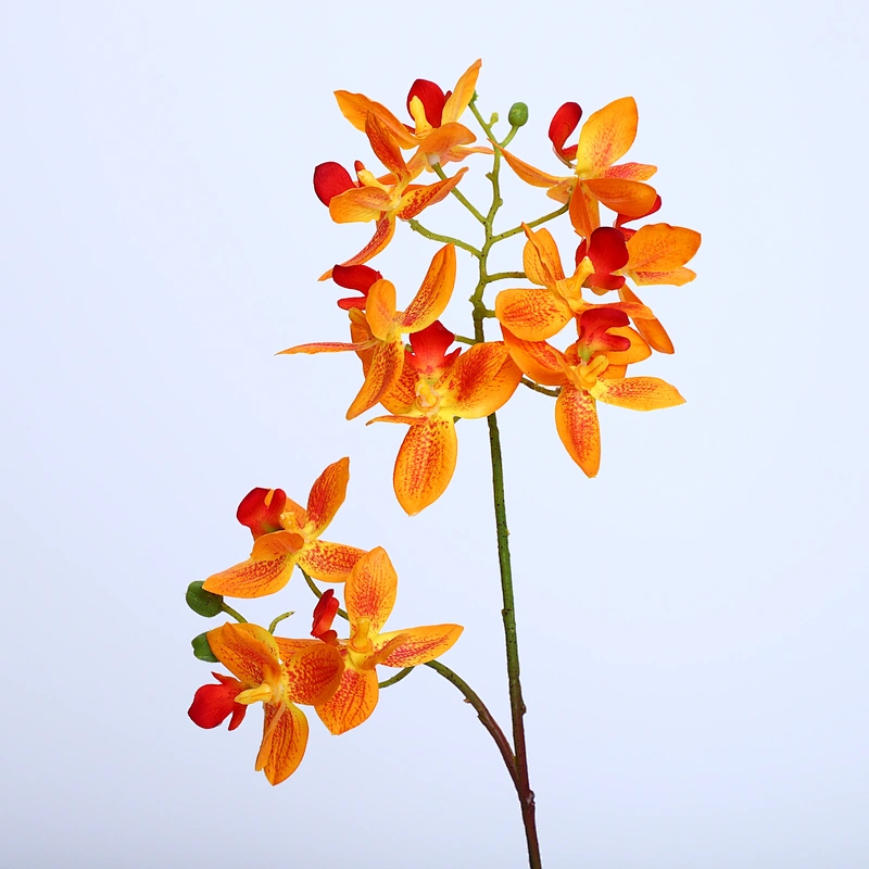 Factory Direct Sale Silk Orchid Assortment Artificial Garden Decor Real Touch Flower Phalaenopsis