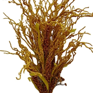 Wholesale Fashion Red Orange Yellow Flowers 81cm Orange Artificial Flowers In/Out Door Decorations For Sale