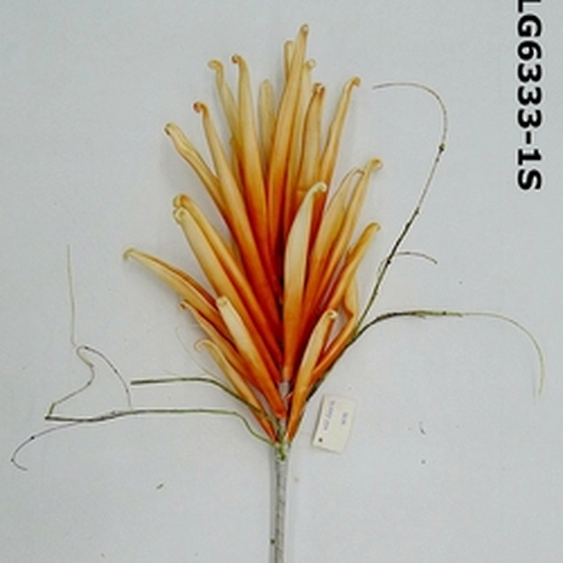 Wholesale Plastic orange Plants Wedding Bouquet Artificial Flower Gifts And Decorations