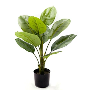 Most Popular Greenery Plant Artificial Scindapsus Aureus Dried Garden Scindapsus Aureus For Living Room Decoration