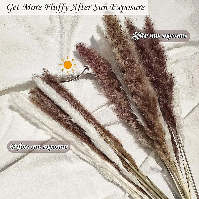 Dried Reeds Natural Dried Plants Bunch Small Pampas Grass DIY Craft Wedding Bouquet Photography Props Home Decoration Supplies