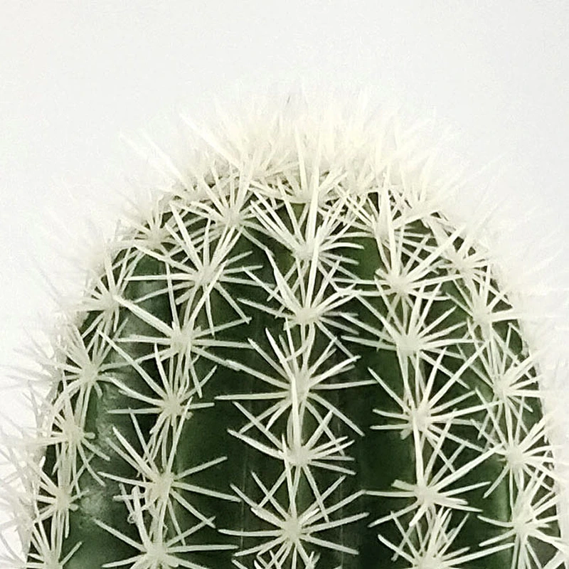 Hot Sale High Performance Good Quality Outdoor Decoration Plant Artificial Evergreen Trees