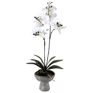 Office Wedding Decoration Spring Artificial Orchid Flower Silky Way Real Touch Latex Artificial Orchid Flower For Home