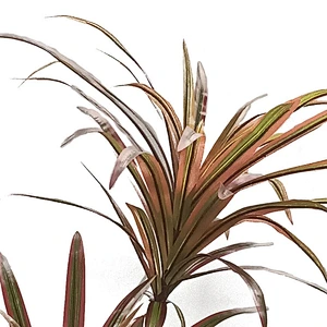 Factory price artificial dracaena plant new design greenery artificial dracaena plant for sale