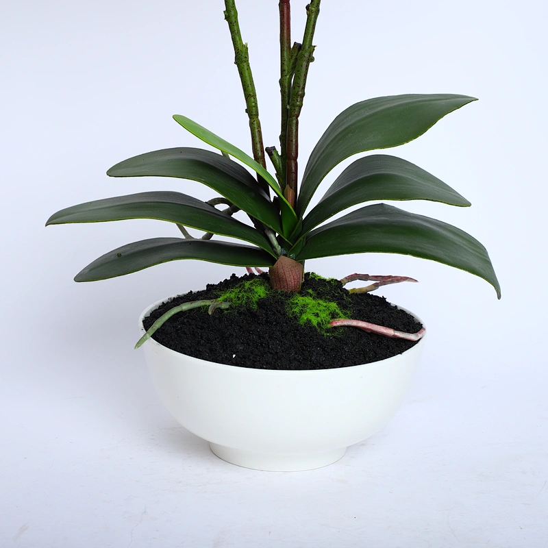 Home Wedding Decor White Artificial Flowers Cymbidium Orchid Faux Water Butterfly Orchid