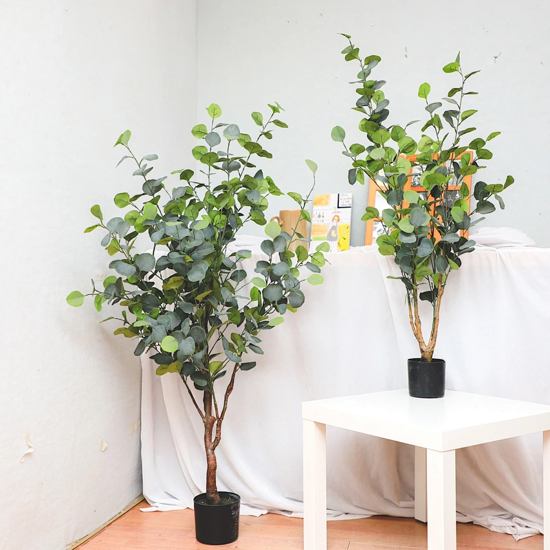 New Style Bonsai Plants China Top Quality Mini Small Medium Decorative Ornamental Bonsai Plants Of  Ficus Microcarpa