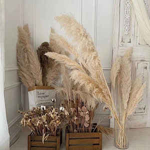 1Pc Artificial Pampas Grass Flowers Dried Small Reed Simulation Plants Wedding Party Home Decoration Rabbit Tail Grass