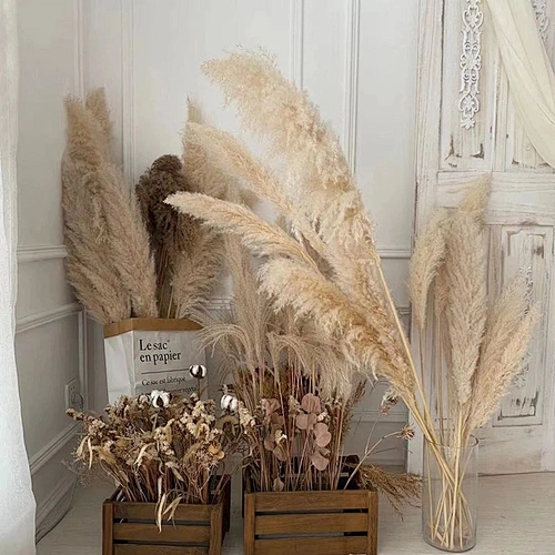 1Pc Artificial Pampas Grass Flowers Dried Small Reed Simulation Plants Wedding Party Home Decoration Rabbit Tail Grass