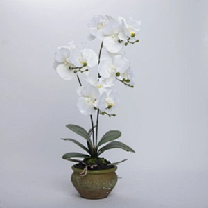 China Wholesale Real Touch Wedding Artificial Orchid Pot Assortment Cymbidium For Indoor Decoration