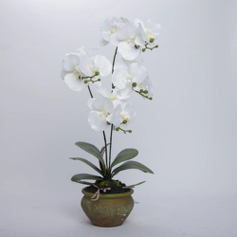 China Wholesale Real Touch Wedding Artificial Orchid Pot Assortment Cymbidium For Indoor Decoration