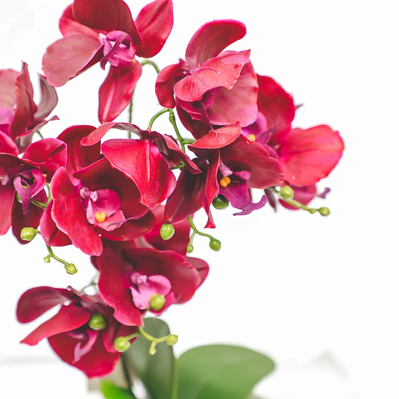 Factory Supply Artificial Flowers Faux Water Cymbidium Butterfly Orchid For Home Decoration